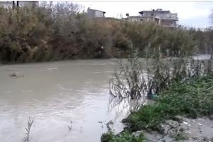 Γιόφυρος:”Επιδρομή” κουνουπιών και κραυγή απόγνωσης των κατοίκων – “Καμπανάκι” για τη δημόσια υγεία