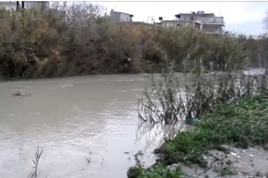 Γιόφυρος:”Επιδρομή” κουνουπιών και κραυγή απόγνωσης των κατοίκων – “Καμπανάκι” για τη δημόσια υγεία