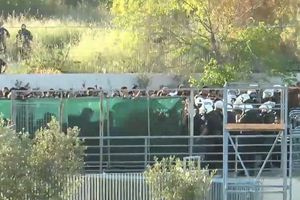 ΦΩΤΟ-ΠΑΟΚ – ΟΦΗ: Ένταση ανάμεσα σε ΜΑΤ και φίλους του Δικεφάλου