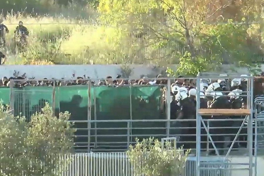 ΦΩΤΟ-ΠΑΟΚ – ΟΦΗ: Ένταση ανάμεσα σε ΜΑΤ και φίλους του Δικεφάλου