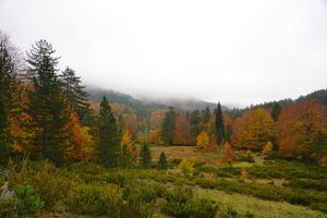 Θύελλα αντιδράσεων για την δόμηση σε περιοχές Natura