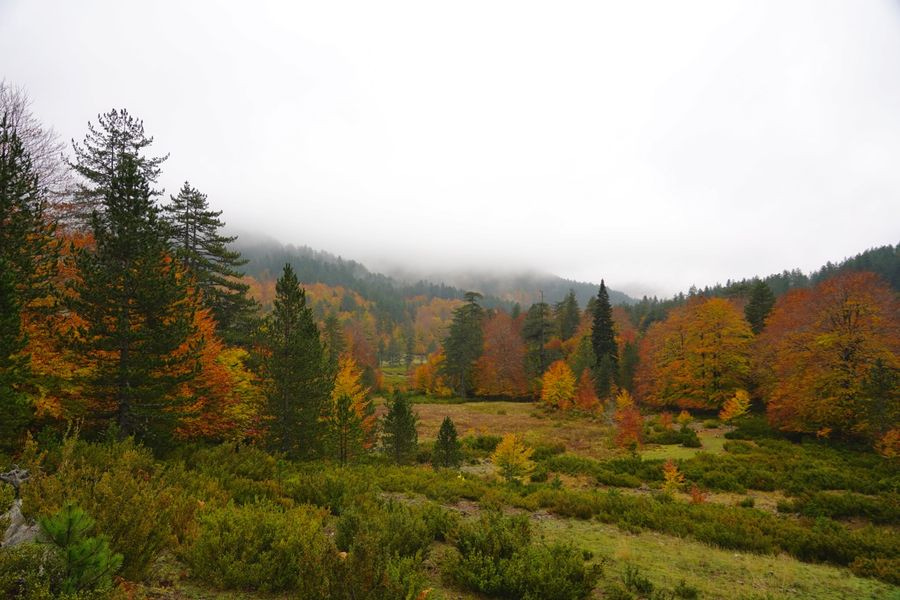 Θύελλα αντιδράσεων για την δόμηση σε περιοχές Natura