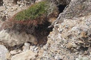 Μακάβριο εύρημα στα Φαλάσαρνα: Εντοπίστηκε σορός άνδρα σε σπηλιά