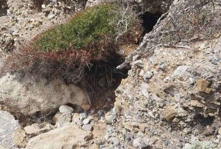 Μακάβριο εύρημα στα Φαλάσαρνα: Εντοπίστηκε σορός άνδρα σε σπηλιά