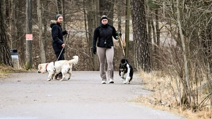 Βραζιλία: Υιοθετήθηκε νομοσχέδιο για την κοινή κηδεμονία των ζώων συντροφιάς μετά το διαζύγιο