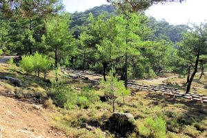 Ορειβατικός Σύλλογος Αγίου Νικολάου: Πεζοπορία από το δάσος Κρουστα στο Οροπέδιο Καθαρού