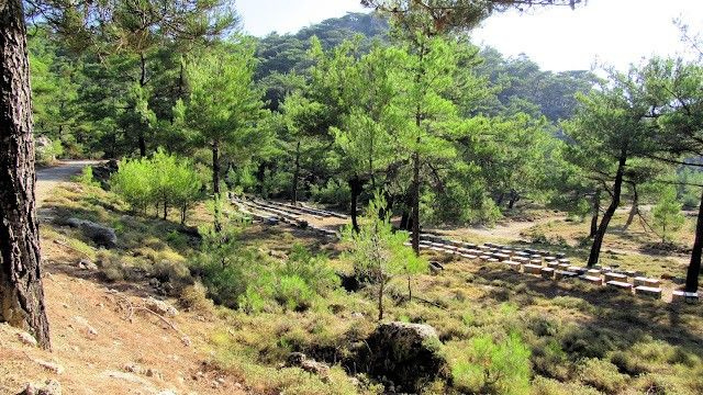 Ορειβατικός Σύλλογος Αγίου Νικολάου: Πεζοπορία από το δάσος Κρουστα στο Οροπέδιο Καθαρού