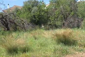 Προσοχή : Ξεκίνησε την 1η Απριλίου η υποχρέωση καθαρισμού και δήλωσης οικοπέδων