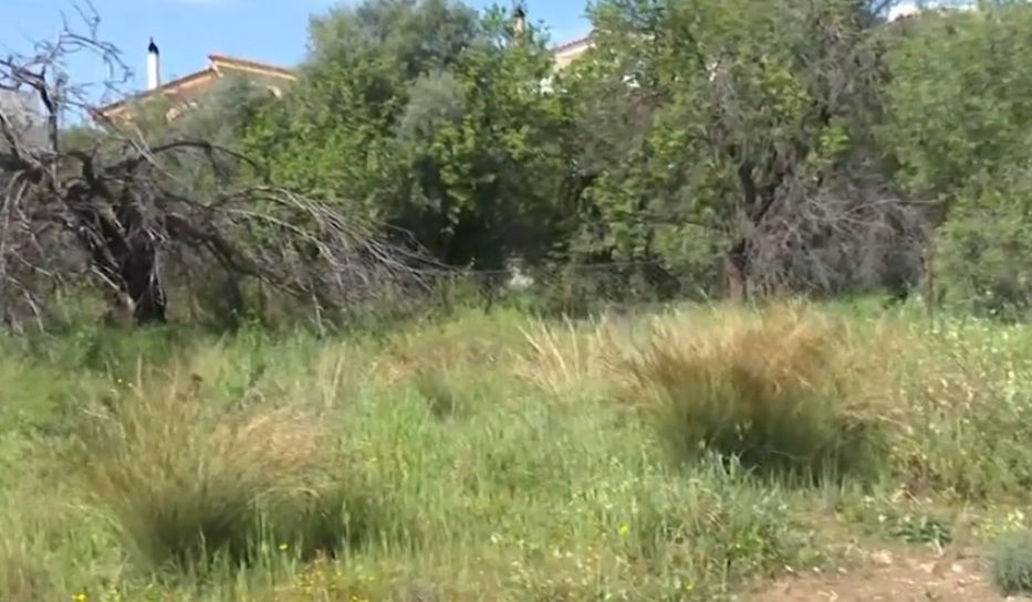 Προσοχή : Ξεκινά την 1η Απριλίου η υποχρέωση καθαρισμού και δήλωσης οικοπέδων