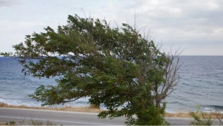 Προσοχή: Ενημέρωση Δήμου Φαιστού για θυελλώδεις ανέμους και οδηγίες προστασίας πολιτών