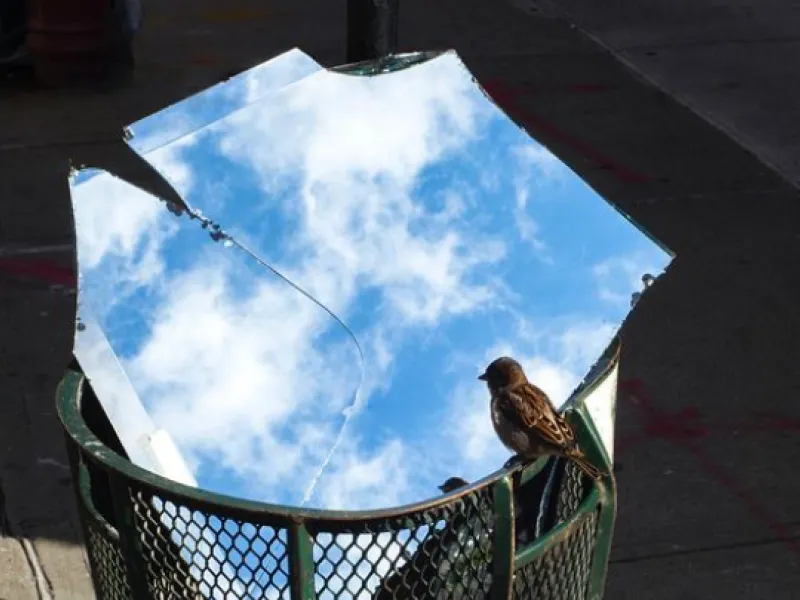 Ινδία: Νεογέννητο, σπάνιο πουλί, που απειλείται με εξαφάνιση, απέκτησε 50 «σωματοφύλακες»- Δείτε φωτογραφίες