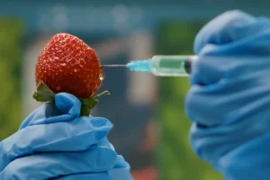 Αλλάζουν στην ΕΕ οι κανονισμοί στα μεταλλαγμένα: «Καμπανάκι» περιβαλλοντικών οργανώσεων