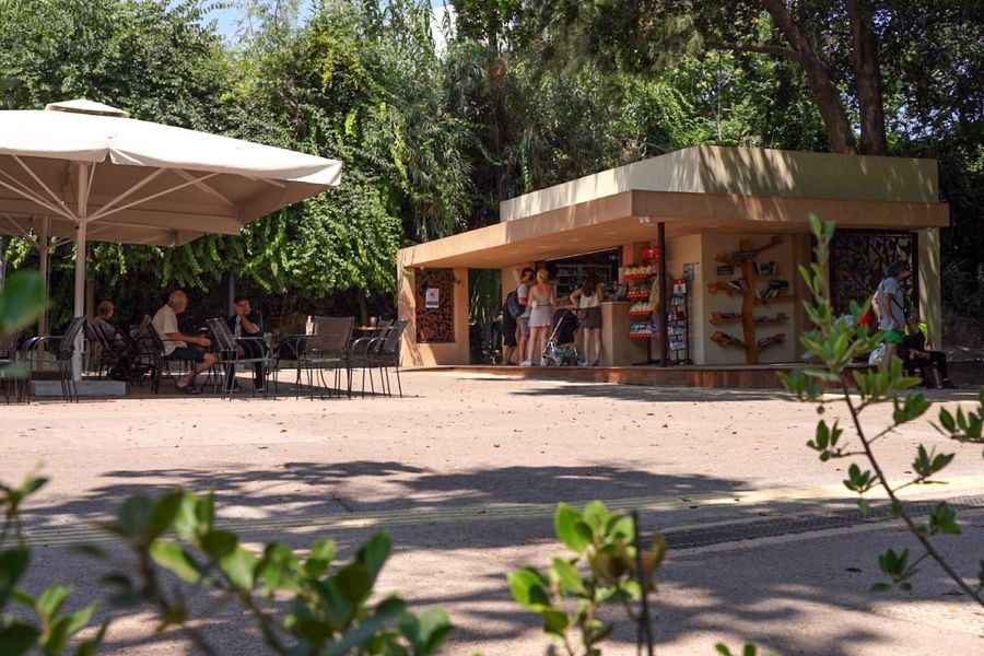 Γιγαντοοθόνη στο πάρκο Γεωργιάδη για τον τελικό του Κυπέλλου