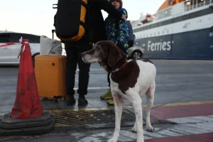 Φεύγουν οι εκδρομείς του Πάσχα για τα νησιά, αυξημένη κίνηση στα λιμάνια