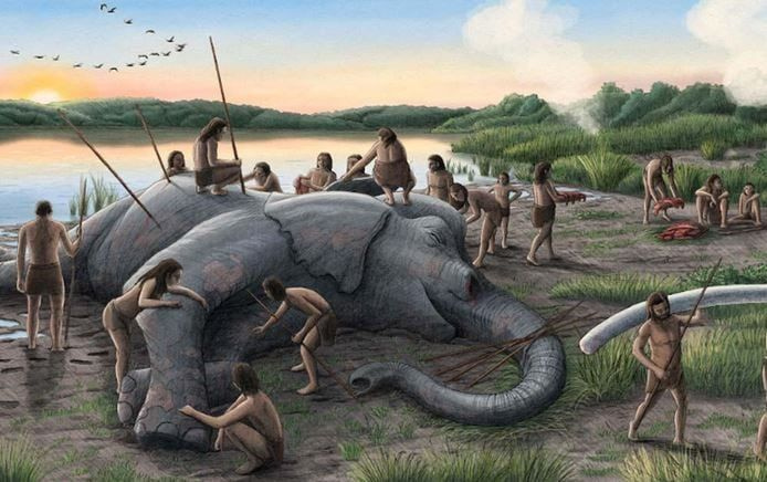 Οι πρόγονοι μας κυνηγούσαν, τεμάχιζαν και έτρωγαν γιγάντιους ελέφαντες πριν από δύο εκατ. έτη