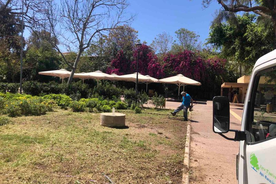 “Κι ο Άγιος φοβέρα θέλει”: Κουρεύουν στο πάρκο Γεωργιάδη μετά το φωτορεπορτάζ του patris.gr, παραμένει όμως ο κίνδυνος στη Λ. Δημοκρατίας