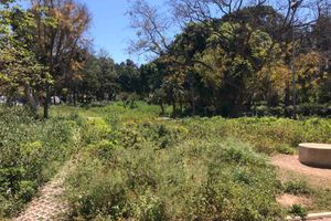 Πάρκο που μοιάζει με απεριποίητο… μποστάνι – Κίνδυνος σε λεωφόρο για πεζούς και οδηγούς στο κέντρο του Ηρακλείου (pics)