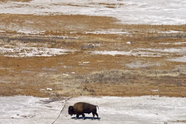 Great Salt Lake: Η «Μεγάλη Αλμυρή Λίμνη» των ΗΠΑ είναι «άρρωστη»