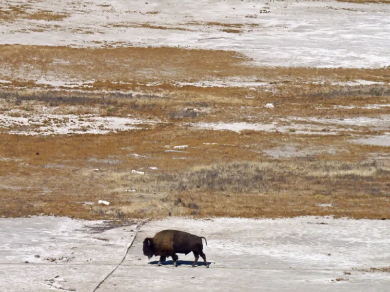 Great Salt Lake: Η «Μεγάλη Αλμυρή Λίμνη» των ΗΠΑ είναι «άρρωστη»