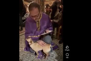 (ΒΙΝΤΕΟ) Ηράκλειο: Σκύλος παρακολούθησε τα εγκώμια στην εκκλησία του Σοκαρά