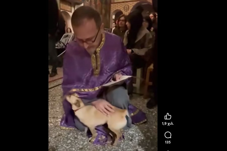 (ΒΙΝΤΕΟ) Ηράκλειο: Σκύλος παρακολούθησε τα εγκώμια στην εκκλησία του Σοκαρά