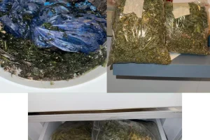 Εξαρθρώθηκε συμμορία που έκλεβε καταστήματα ηλεκτρονικών ειδών σε Χανιά και Ηράκλειο