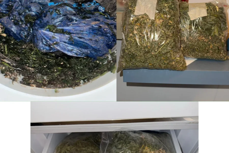 Εξαρθρώθηκε συμμορία που έκλεβε καταστήματα ηλεκτρονικών ειδών σε Χανιά και Ηράκλειο