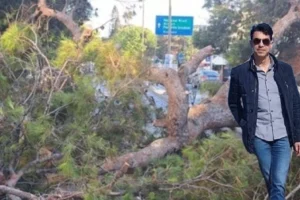 Το κατηγορητήριο για τον θάνατο του Παναγιώτη Μητρέλου από το «φονικό» πεύκο -Την ερχόμενη Δευτέρα ξεκινά η δίκη