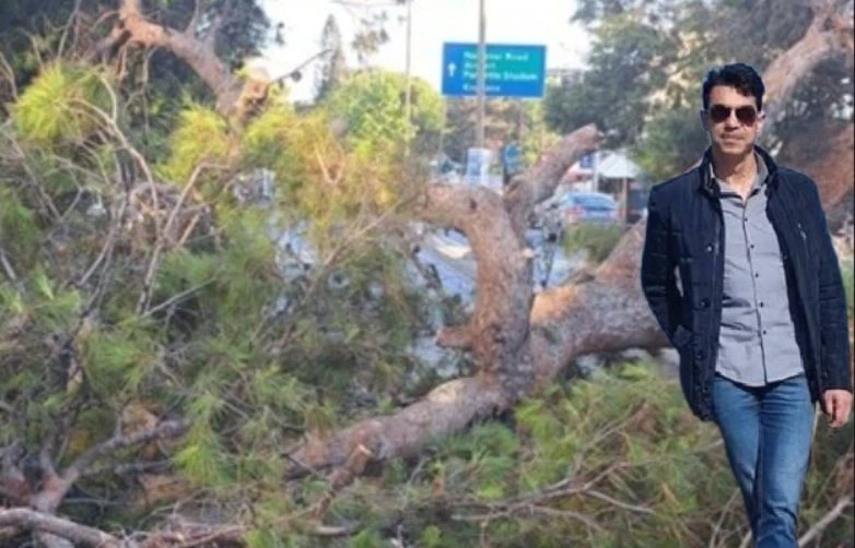 Το κατηγορητήριο για τον θάνατο του Παναγιώτη Μητρέλου από το «φονικό» πεύκο -Την ερχόμενη Δευτέρα ξεκινά η δίκη