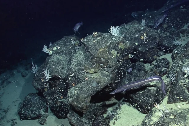 Η NASA χαρτογράφησε τον βυθό της Γης από το διάστημα και ανακάλυψε άγνωστα στοιχεία που αλλάζουν τα δεδομένα