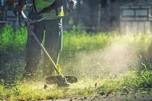 Καθαρισμός οικοπέδων: Ποιες αλλαγές εισάγονται για τις υποχρεώσεις των πολιτών-Δημοσιεύθηκε η ΚΥΑ