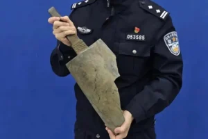 Ηλικιωμένο ζευγάρι βρήκε ένα σπάνιο αντικείμενο που έμοιαζε με «παλιοσίδερα» – Αποκαλύφθηκε ότι ήταν αρχαίο μουσικό όργανο