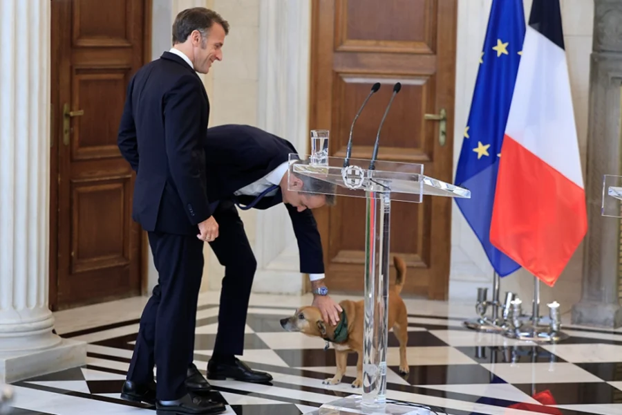 Παιχνίδια και χάδια για τον Πίνατ στο Μαξίμου, δείτε φωτογραφίες