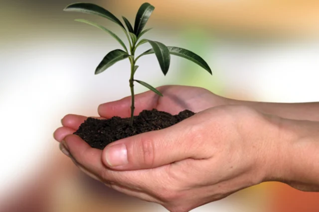 Η Ελλάδα στην 11η θέση του κόσμου στις περιβαλλοντικές επιδόσεις