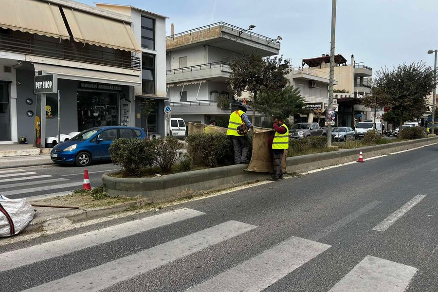 Ηράκλειο: Ξεκίνησαν οι παρεμβάσεις συντήρησης και καλλωπισμού του πρασίνου στους κοινόχρηστους χώρους
