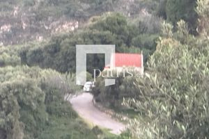 (ΦΩΤΟ)Το σημείο όπου βρέθηκε νεκρός ο πρώην σύντροφος της 44χρονης