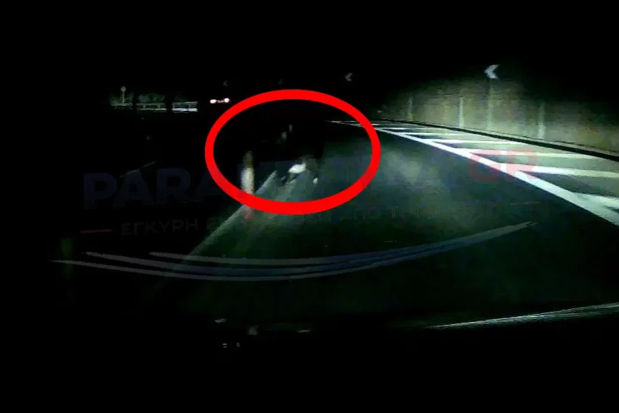 (ΦΩΤΟ – ΒΙΝΤΕΟ) ΒΟΑΚ: Κατσίκα πετάχτηκε στη μέση του δρόμου – Από θαύμα δεν θρηνήσαμε θύματα