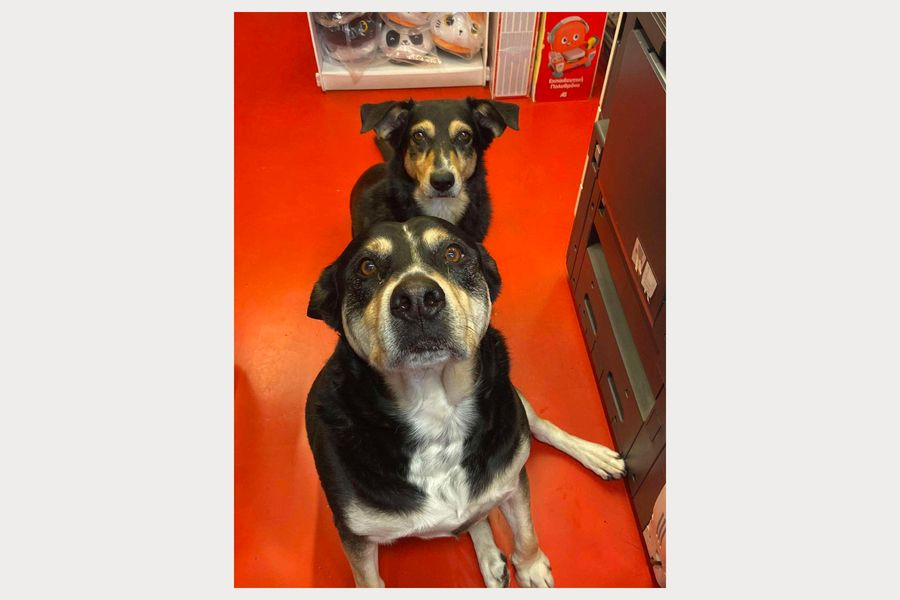 Χθες σήμερα αύριο 3/4/2026