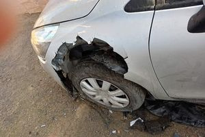 (ΦΩΤΟ) Σκύλος επιτέθηκε σε αυτοκίνητο και το… “έφαγε”! – Σοκάρουν οι εικόνες από τη ζημιά