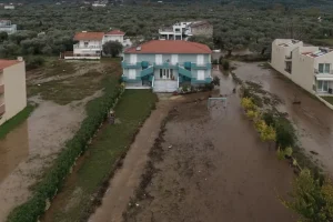 Λεπτοσπείρωση: Έξαρση μετά από καταιγίδες και πλημμυρικά φαινόμενα -Τι συμβαίνει στη Ζάκυνθο
