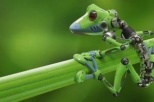 Ερευνητές δημιούργησαν ρομποτάκια με δικό τους νευρικό σύστημα