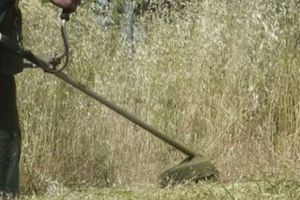 Πρόγραμμα καθαρισμού δημοτικών και αγροτικών δρόμων από άγρια βλάστηση στο Ρέθυμνο