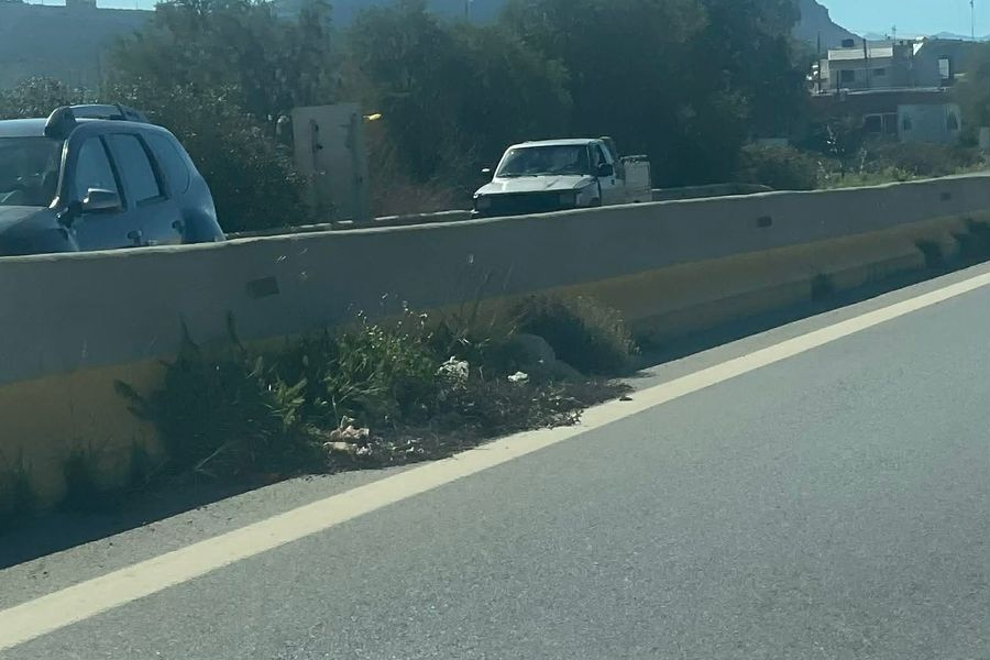 Μια μικρή “ζούγκλα” κατά μήκος του ΒΟΑΚ – Δείτε πως χορτάριασαν στηθαία και δρόμος (vid)