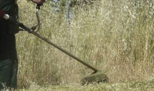 Πρόγραμμα καθαρισμού δημοτικών και αγροτικών δρόμων από άγρια βλάστηση στο Ρέθυμνο