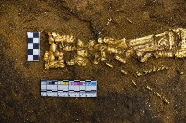 Ανακαλύφθηκε ο τάφος του «Χρυσού Άνδρα»: Τα μυστικά και η σημασία του