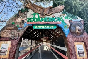 Σοκ στην Πενσυλβάνια: Λύκος τραυμάτισε παιδί 18 μηνών σε ζωολογικό κήπο