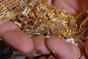Στα χέρια της ΕΛ.ΑΣ. η σπείρα που “έγδυσε” οικία στη Φωκίδα – Τα 7 μέλη, τα κλεμμένα χρυσαφικά και ο «έγκλειστος» συνεργός