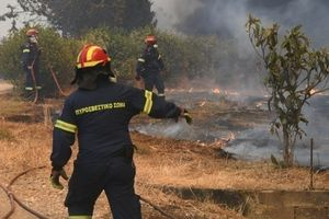 Ξεκινά από σήμερα η αντιπυρική περίοδος – Ο σχεδιασμός της Πολιτικής Προστασίας