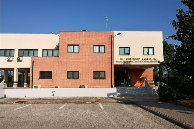 Παχυσαρκία: Εξαφανίσθηκαν οι αλάνες στις γειτονιές και οι χώροι άσκησης και παιχνιδιού για τα ελληνόπουλα