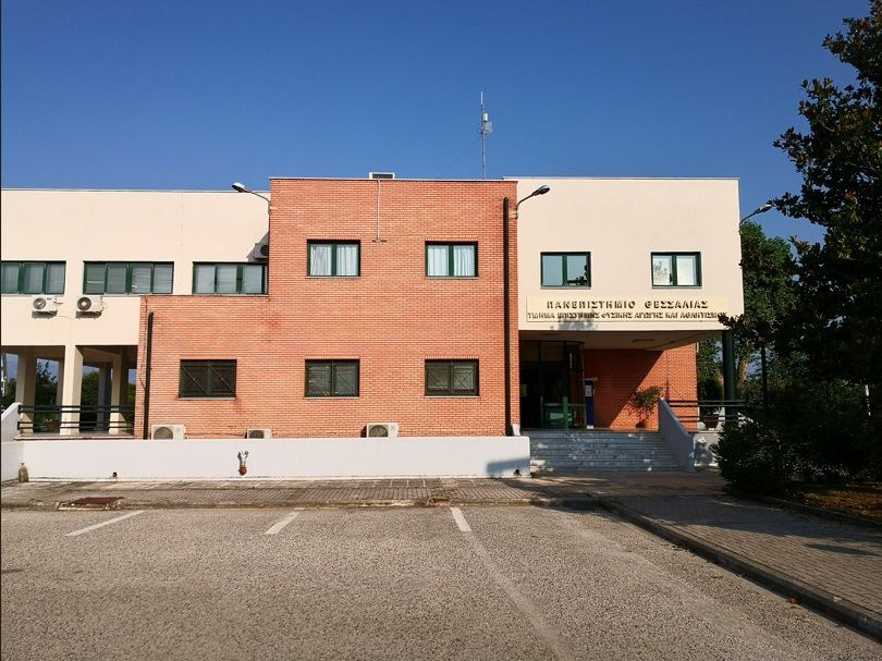 Παχυσαρκία: Εξαφανίσθηκαν οι αλάνες στις γειτονιές και οι χώροι άσκησης και παιχνιδιού για τα ελληνόπουλα